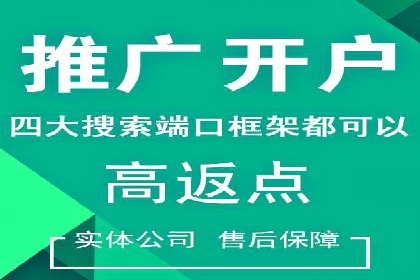 竞价排名中的数据分析和优化案例